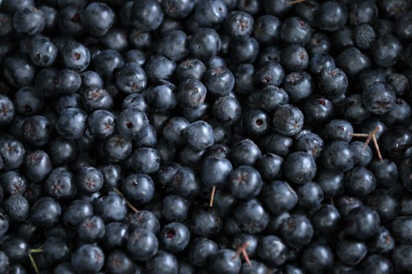 aronia-berries-g94f1ffc64_1920-600x400 aronia intestin Nutra transi Dr Perez