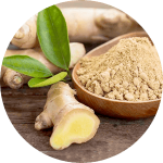 gingembre-150x150 gingembre nutra gluco glycémie nutravya
