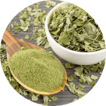 moringa nutra gluco glycémie nutravya