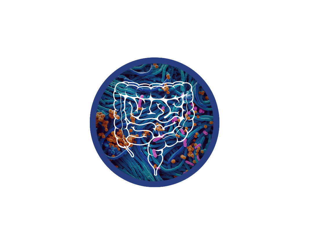 kit test microbiote intestinal