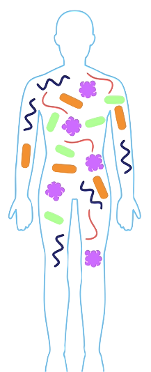 kit test microbiote intestinal