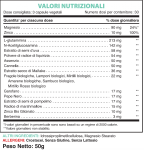 Ingredienti di Digest Ultra vitavya